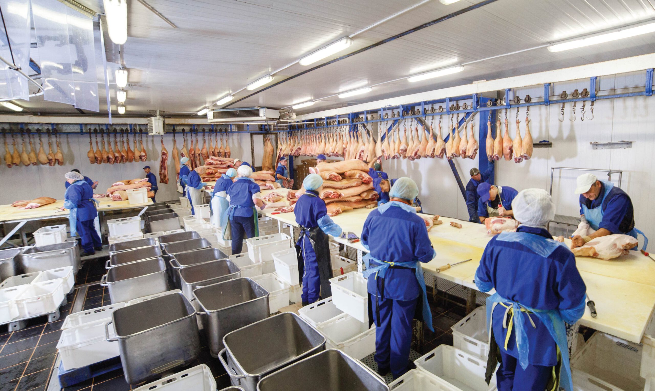 Cold Chain Logistics