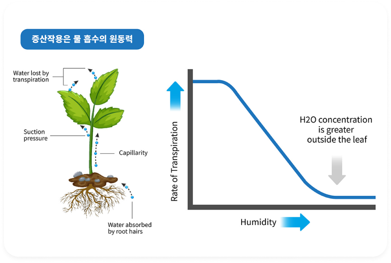 humidity_content9_ko