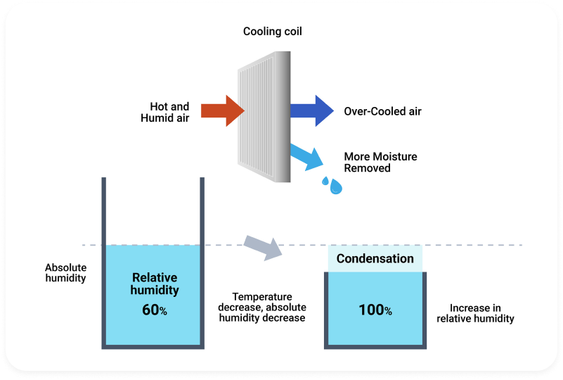 humidity_content4_en